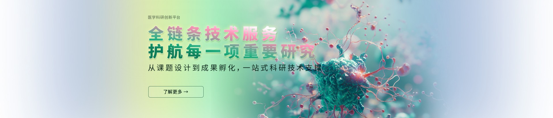 通栏图片